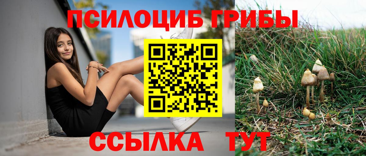 Псилоцибиновые грибы GOLDEN TEACHER  Псилоцибиновые грибы GOLDEN TEACHER  Вход с VPN  Урай 